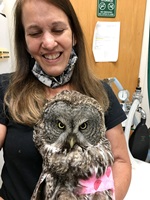 Dr. Tanya with a great grey owl